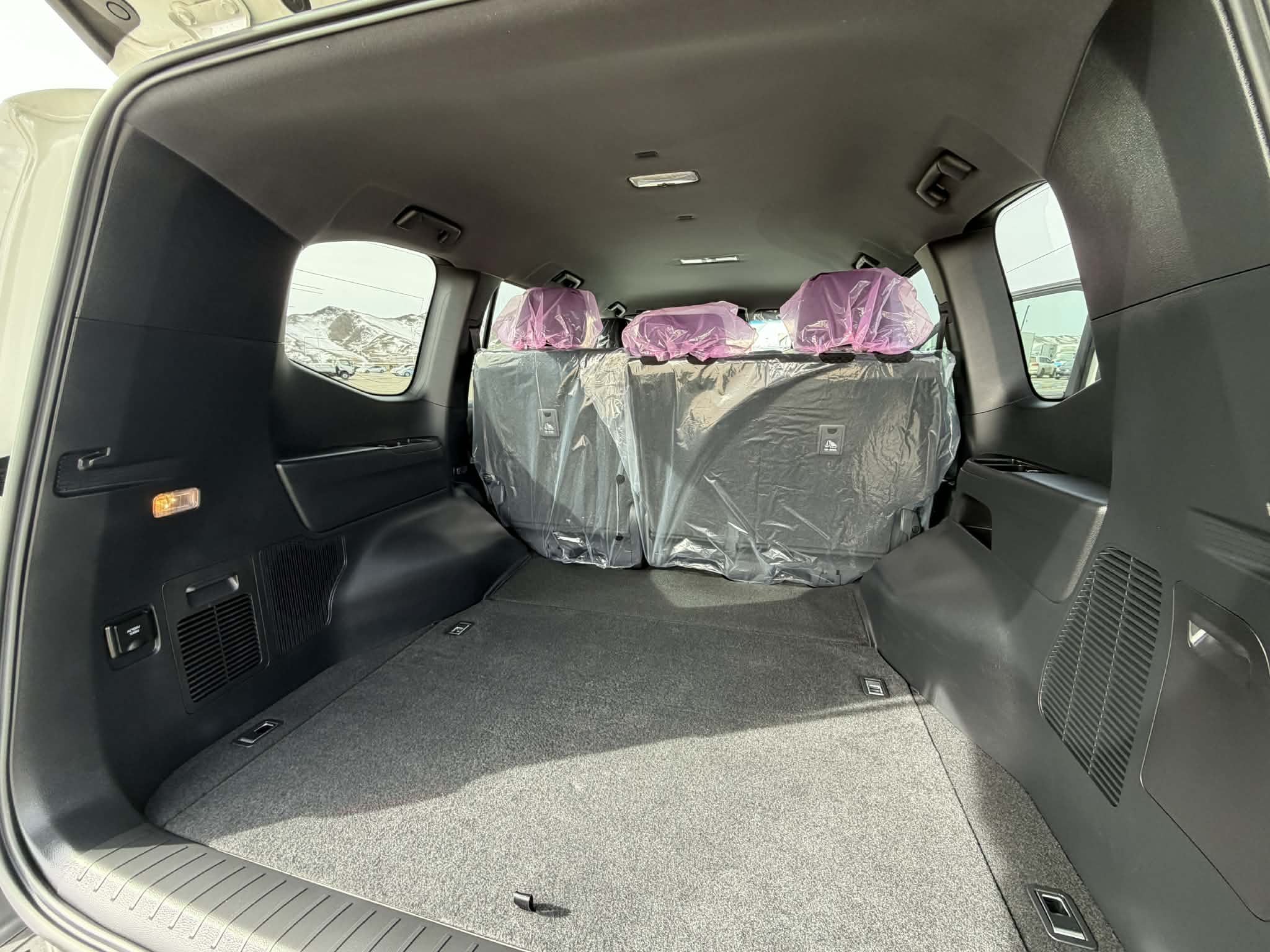 Image of 2024 LAND CRUISER 300