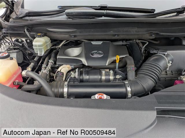 Uploaded image 11